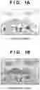 Fig. 02 - IMAGE CAPTURING APPARATUS AND CONTROL METHOD THEREOF AND STORAGE MEDIUM
