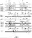 Fig. 05 - Image sensor and method for reading out signal of image sensor