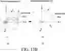 Fig. 16 - ELECTRONIC DEVICE FOR SENSING WEARING STATE OF ELECTRONIC DEVICE USING INERTIAL SENSOR, AND METHOD FOR CONTROLLING SAME