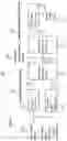 Fig. 02 - Spatial Audio Representation and Rendering