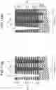 Fig. 16 - Semiconductor memory device