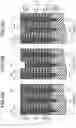Fig. 18 - Semiconductor memory device