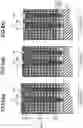 Fig. 12 - SEMICONDUCTOR MEMORY DEVICE