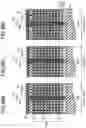 Fig. 15 - SEMICONDUCTOR MEMORY DEVICE