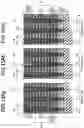 Fig. 20 - SEMICONDUCTOR MEMORY DEVICE