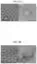 Fig. 07 - ELECTRONIC DEVICE AND PRODUCTION METHOD THEREOF
