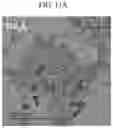 Fig. 14 - ELECTRONIC DEVICE AND PRODUCTION METHOD THEREOF
