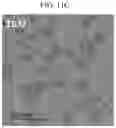 Fig. 16 - ELECTRONIC DEVICE AND PRODUCTION METHOD THEREOF