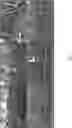 Fig. 08 - Subsurface drip irrigation (SDI) lines enhanced with essential oils