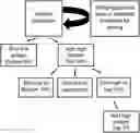 Fig. 01 - METHODS FOR GENERATING PLANTS PRODUCING SEEDS HAVING ALTERED SEED COMPOSITION