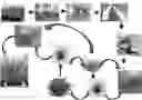 Fig. 01 - System for rapid, robust, and efficient in vitro mass propagation of 