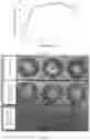 Fig. 03 - Warm water immersion-based hatching method of silkworm eggs