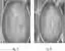 Fig. 04 - AGGLOMERATED PROTEIN PRODUCTS AND METHOD FOR MAKING