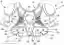 Fig. 01 - Shoulder pads