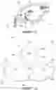 Fig. 06 - Shoulder pads
