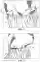 Fig. 02 - Weftlock for hair styling and wig assemblies
