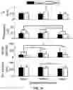 Fig. 40 - SYSTEMS AND METHODS FOR DETECTING THE PRESENCE OF ELECTRICALLY EVOKED COMPOUND ACTION POTENTIALS (eCAPS), ESTIMATING SURVIVAL OF AUDITORY NERVE FIBERS, AND DETERMINING EFFECTS OF ADVANCED AGE ON THE ELECTRODE-NEURON INTERFACE IN COCHLEAR IMPLANT USERS