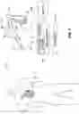 Fig. 02 - FORCE SENSING CATHETER SYSTEM
