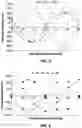 Fig. 06 - FORCE SENSING CATHETER SYSTEM