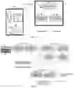 Fig. 02 - METHOD FOR ESTIMATING PHYSIOLOGICAL EVENTS FROM PHYSIOLOGICAL SIGNALS, A NON-TRANSITORY COMPUTER-READABLE MEDIUM, AND, AN APPARATUS