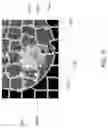 Fig. 06 - Interactive contour refinements for data annotation