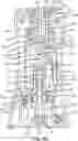 Fig. 14 - ORAL IRRIGATOR