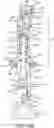 Fig. 17 - ORAL IRRIGATOR