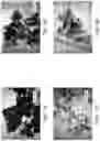 Fig. 02 - Dental polishing paste and method for dental ceramics