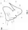 Fig. 08 - FACE CONTOUR MASK SYSTEM AND METHOD