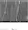 Fig. 02 - Electrospun fibrous matrix, its preparation method and uses thereof