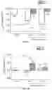 Fig. 07 - FORMULATIONS AND METHODS FOR TREATING ACUTE RESPIRATORY DISTRESS SYNDROME, ASTHMA, OR ALLERGIC RHINITIS