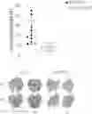 Fig. 01 - METHODS FOR TREATING CANCER BY INHIBITING CARM1