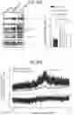 Fig. 102 - METHODS FOR TREATING CANCER BY INHIBITING CARM1