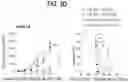 Fig. 16 - METHODS FOR TREATING CANCER BY INHIBITING CARM1