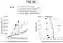Fig. 29 - METHODS FOR TREATING CANCER BY INHIBITING CARM1
