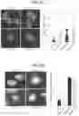 Fig. 36 - METHODS FOR TREATING CANCER BY INHIBITING CARM1