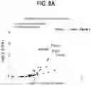 Fig. 46 - METHODS FOR TREATING CANCER BY INHIBITING CARM1