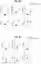 Fig. 50 - METHODS FOR TREATING CANCER BY INHIBITING CARM1