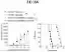 Fig. 55 - METHODS FOR TREATING CANCER BY INHIBITING CARM1