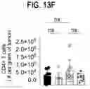 Fig. 72 - METHODS FOR TREATING CANCER BY INHIBITING CARM1