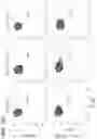 Fig. 80 - METHODS FOR TREATING CANCER BY INHIBITING CARM1