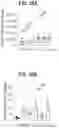 Fig. 84 - METHODS FOR TREATING CANCER BY INHIBITING CARM1