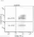 Fig. 07 - USE OF MULTIFUNCTIONAL LIGANDS FOR TREATING THE RESPIRATORY DISTRESS AND CYTOKINE STORM SYNDROMES ASSOCIATED WITH CORONAVIRUS VIRAL INFECTIONS