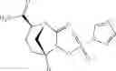 Fig. 176 - BETA-LACTAMASE INHIBITORS AND USES THEREOF