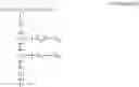 Fig. 02 - COMPOSITIONS INCORPORATING SULFATED POLYSACCHARIDES FOR INHIBITING SARS-COV-2