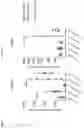 Fig. 02 - NOVEL PEPTIDES AND COMBINATION OF PEPTIDES FOR USE IN IMMUNOTHERAPY AGAINST EPITHELIAL OVARIAN CANCER AND OTHER CANCERS