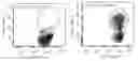 Fig. 01 - CD19-TARGETED CHIMERIC ANTIGEN RECEPTOR AND USE THEREOF