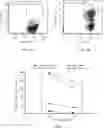 Fig. 02 - CD19-TARGETED CHIMERIC ANTIGEN RECEPTOR AND USE THEREOF