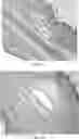 Fig. 06 - CD19-TARGETED CHIMERIC ANTIGEN RECEPTOR AND USE THEREOF