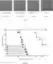 Fig. 07 - CD19-TARGETED CHIMERIC ANTIGEN RECEPTOR AND USE THEREOF